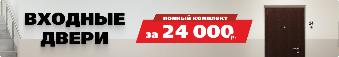 Входные двери 24000